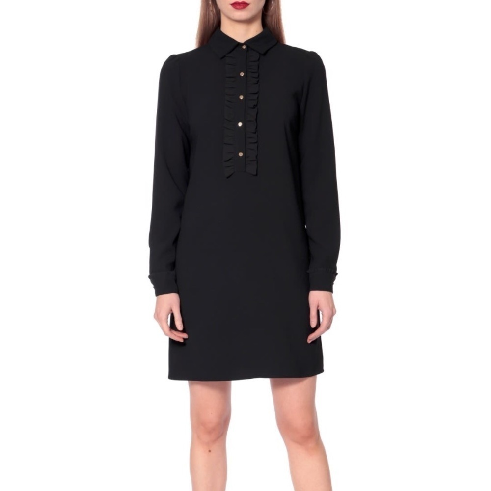 Dean Hutchinson- Sheer Black Longsleeve Ruffle Collar Button Down Dress